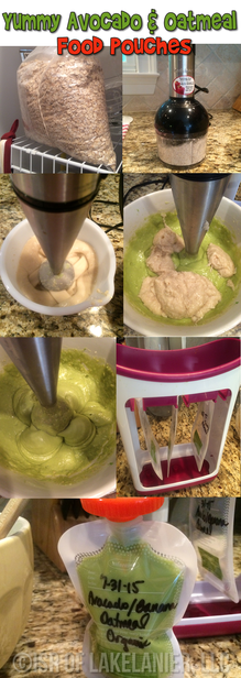 I am excited to share with y'all one of my favorite recipes that I make for my daughter, Homemade Oatmeal Cereal with Avocado. ISR of Lake Lanier Recipe, Pumpkin Baby Food Puree, Pouches, Squeeze Pouches, Infantino Squeeze Station, Infantino Squeeze Pouches, oatmeal with avocado